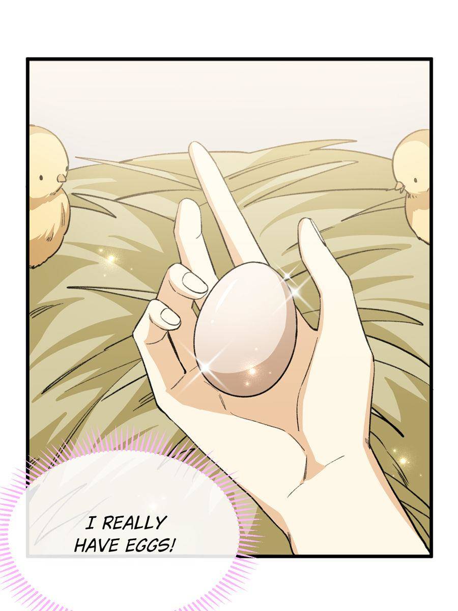 81359637 900 1200 88205